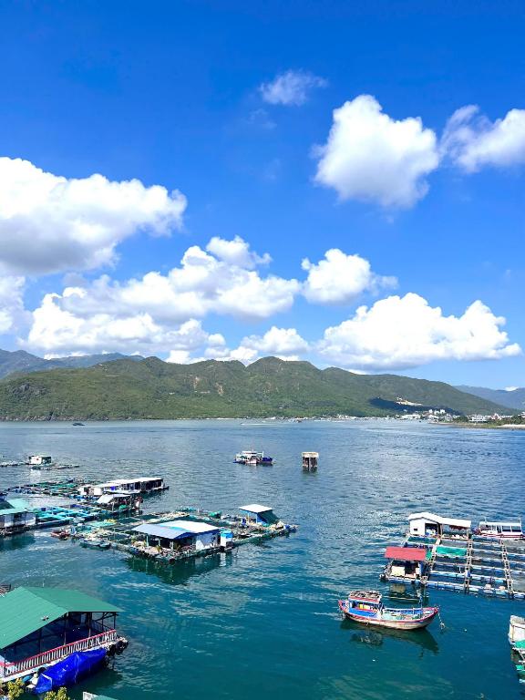 Thanh Tâm Hotel, Đặt Phòng Thanh Tâm Hotel Nha Trang, Trạm Dừng Yên Bình Cho Chuyến Đi Tự Túc Thú Vị