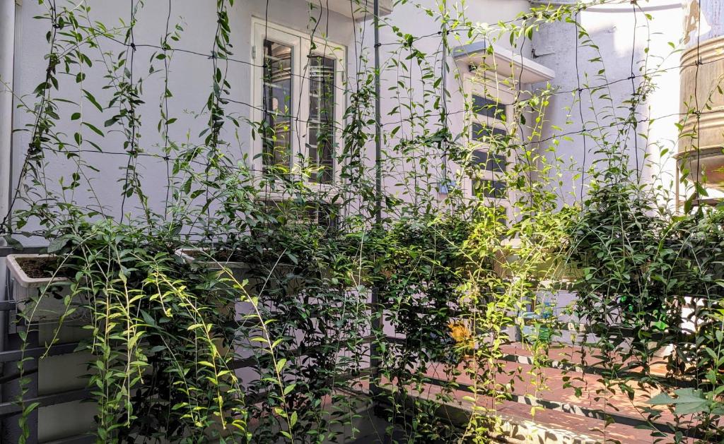 Góc nhỏ Hà Nội Homestay, homestay sang trọng gần Hoàng thành Thăng Long và phố cổ Hà Nội