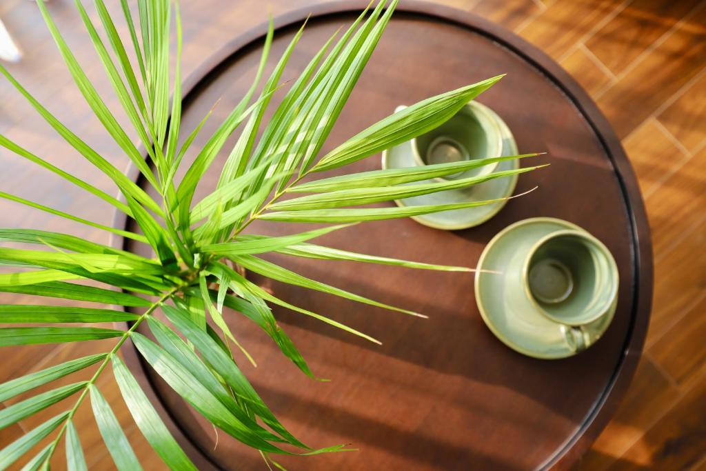 Maison Nhã Hà Nội, lựa chọn lưu trú sang trọng gần Ga Hà Nội và các điểm du lịch