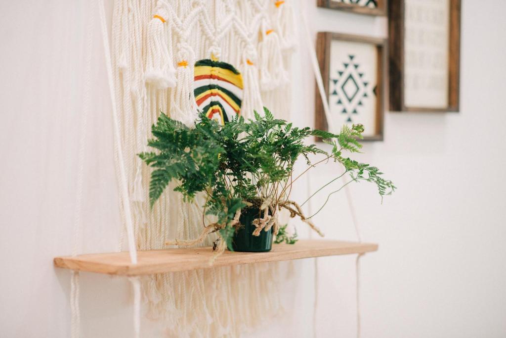 MiaCasaHanoi, Căn Hộ Trung Tâm Hà Nội Với Giường King, Netflix, Rooftop Chill, Giặt Là Miễn Phí