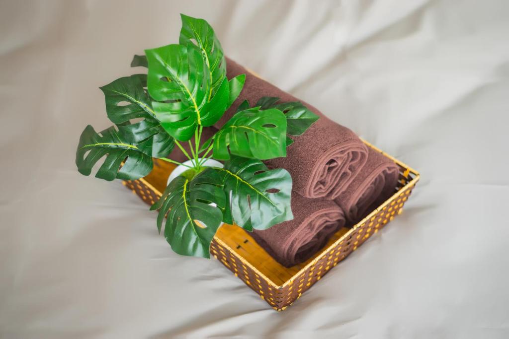 Top Apartment View Hồ Hoàn Kiếm: KemKay CityView Với Không Gian Rộng Lớn Cho Nhóm Lớn