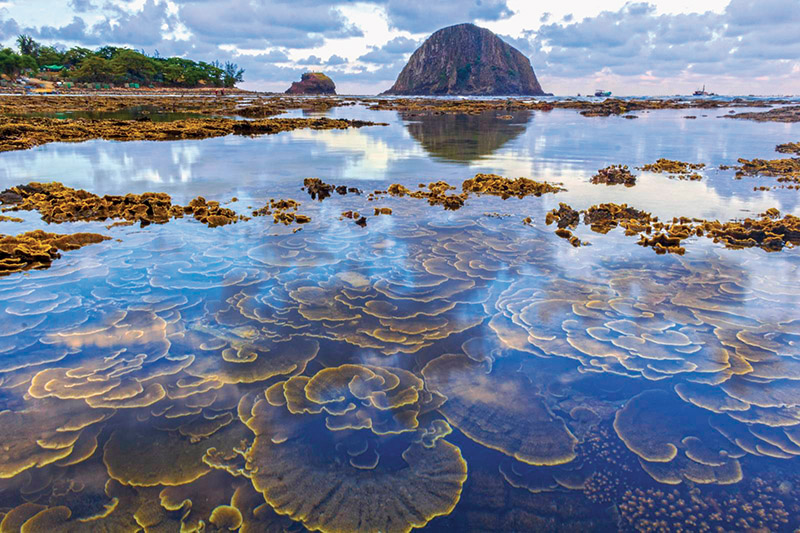 Tour Phú Yên, Quy Nhơn, Nha Trang, khám phá Hòn Yến hoang sơ san hô rực, hành trình miền Trung nắng vàng trong 4 ngày 3 đêm