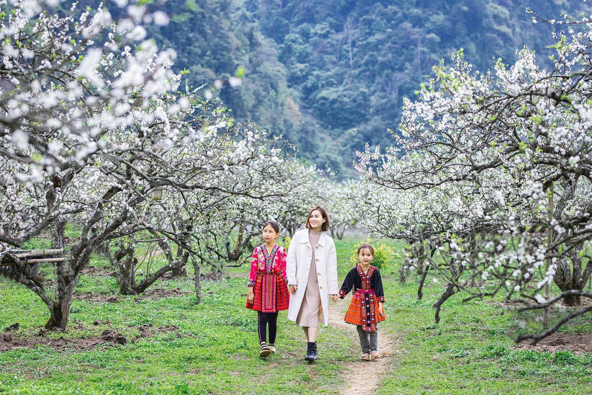 Tour 5N4Đ Tây Bắc, Từ thung lũng hoa mận Mộc Châu, chiến trường Điện Biên phủ hoa ban, Sapa Fansipan mây vờn – hành trình khiến bạn muốn xách balo lên và đi ngay