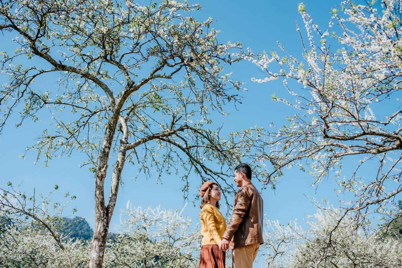 Tour Đông Bắc Mùa Xuân 4N3Đ, Hà Giang, Quản Bạ, Sông Nho Quế – Nơi Hồn Thiêng Gọi Tên