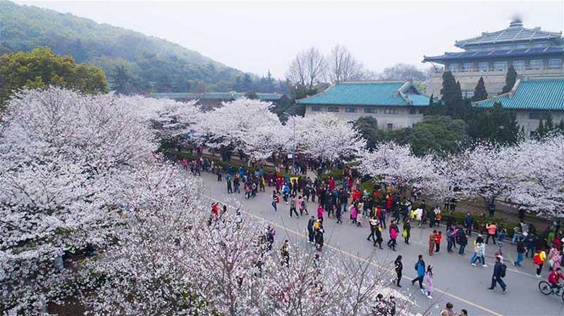 TOUR TRUNG QUỐC MÙA HOA ANH ĐÀO 5N4Đ, HÀ NỘI, BẮC KINH, VẠN LÝ TRƯỜNG THÀNH Trong 5 ngày 4 đêm